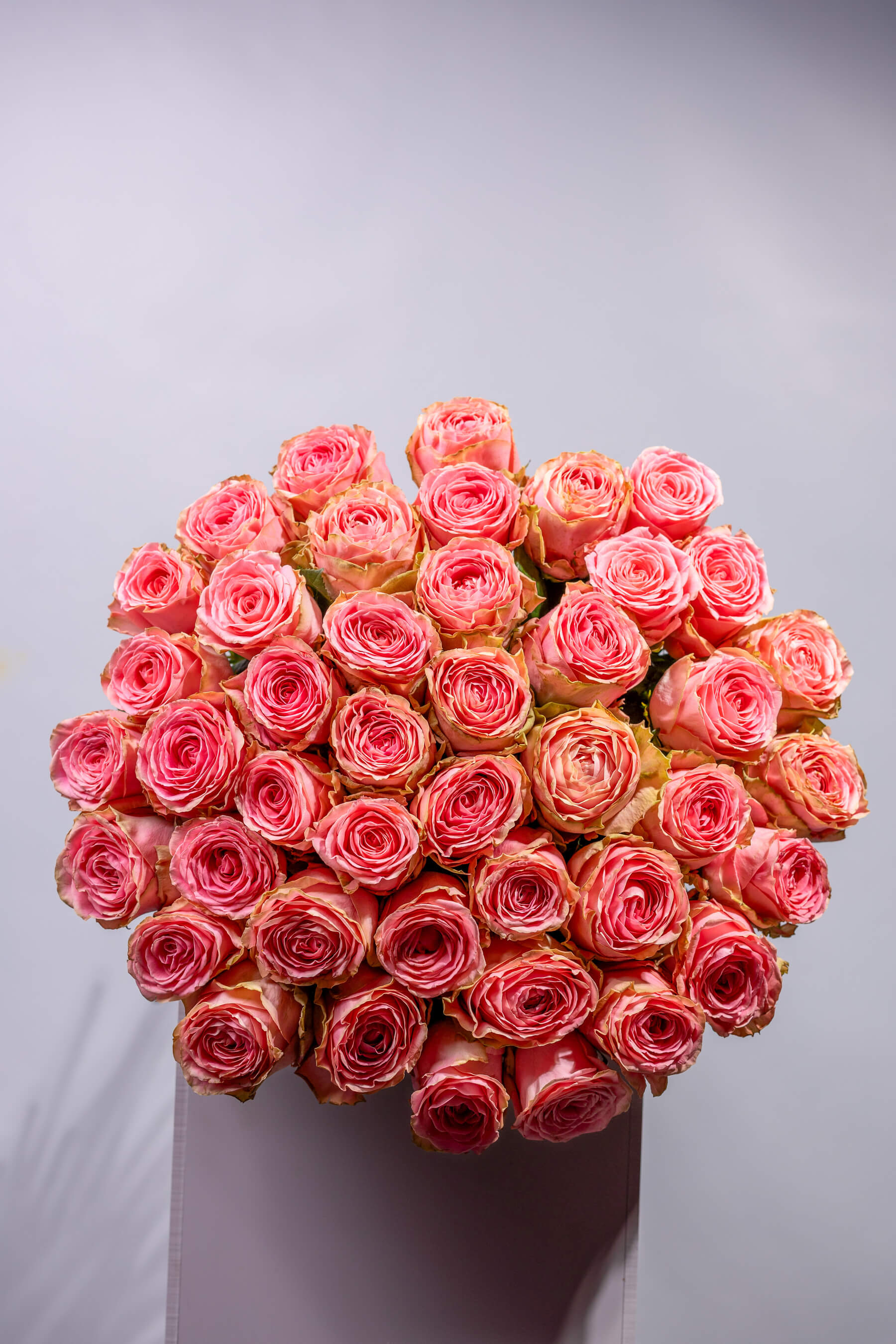 Սոֆիա Լորենի վարդերի ծաղկեփունջ – Պրեմիում վարդագույն վարդեր - Thumbnail 3 of 4 | Flowers Theory