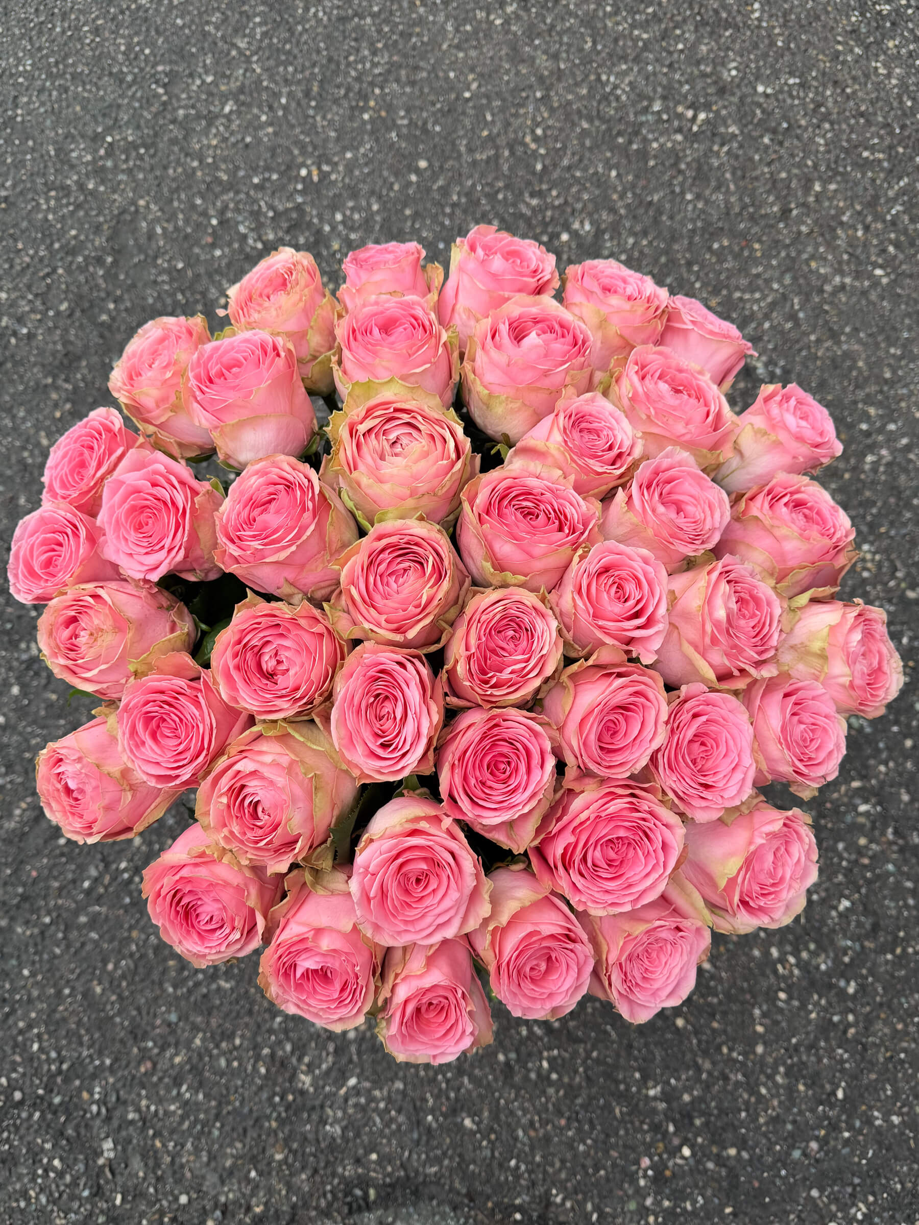 Սոֆիա Լորենի վարդերի ծաղկեփունջ – Պրեմիում վարդագույն վարդեր - Thumbnail 4 of 4 | Flowers Theory