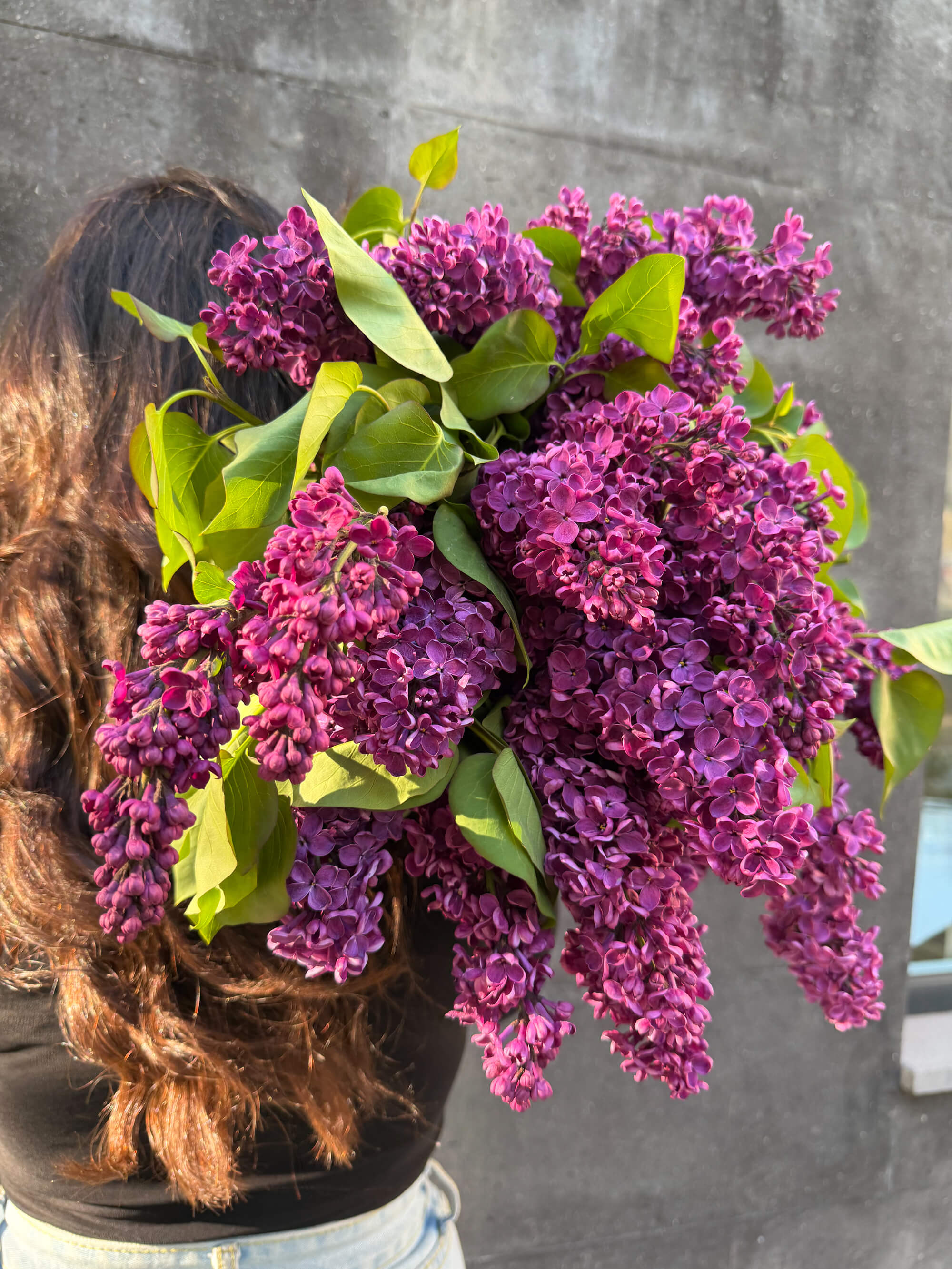 Букет тёмной сирени в насыщенных фиолетовых тонах - Thumbnail 2 of 3 | Flowers Theory