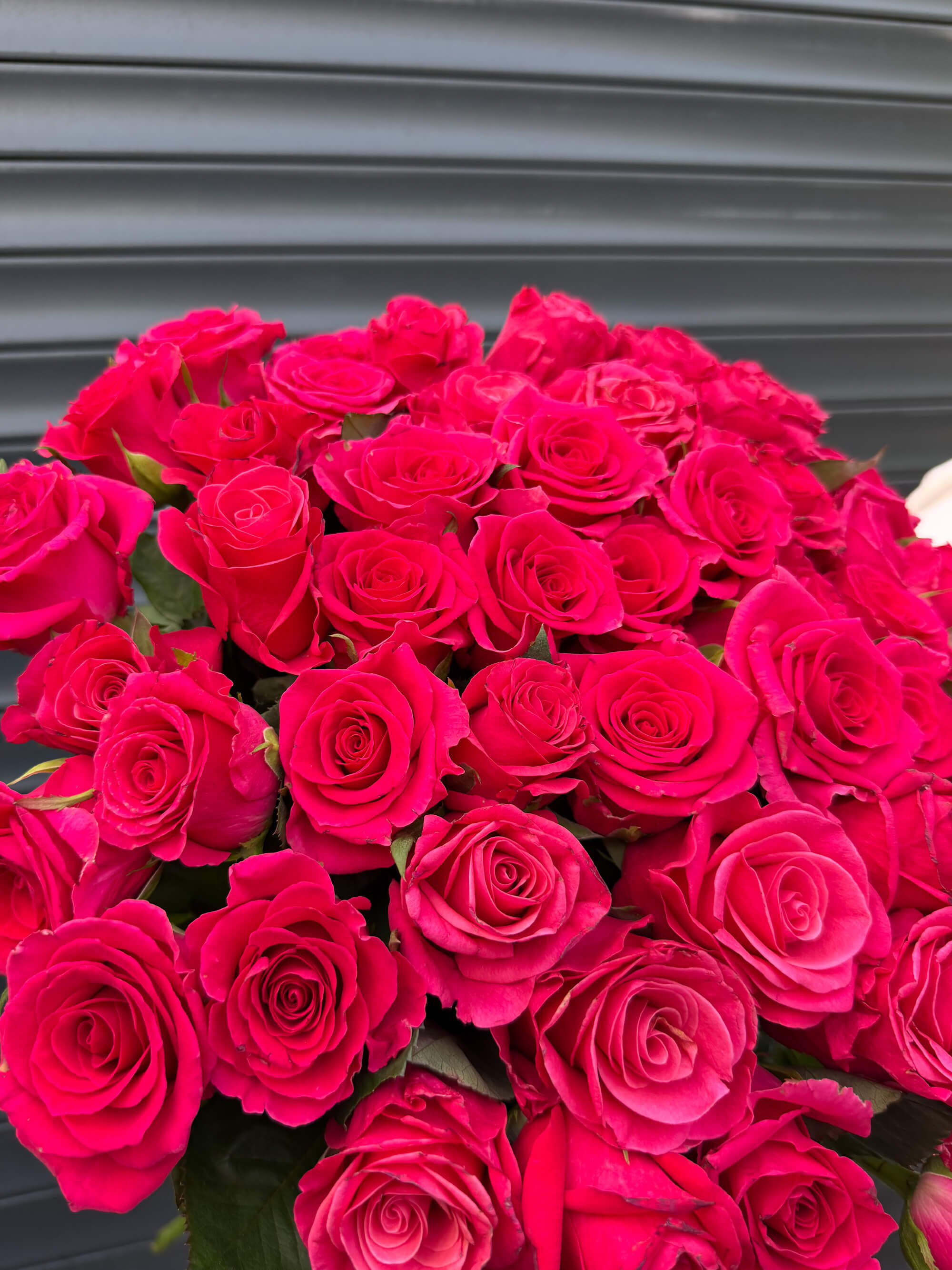 51 малиновая роза 90 см - Яркий букет страсти - Thumbnail 2 of 2 | Flowers Theory