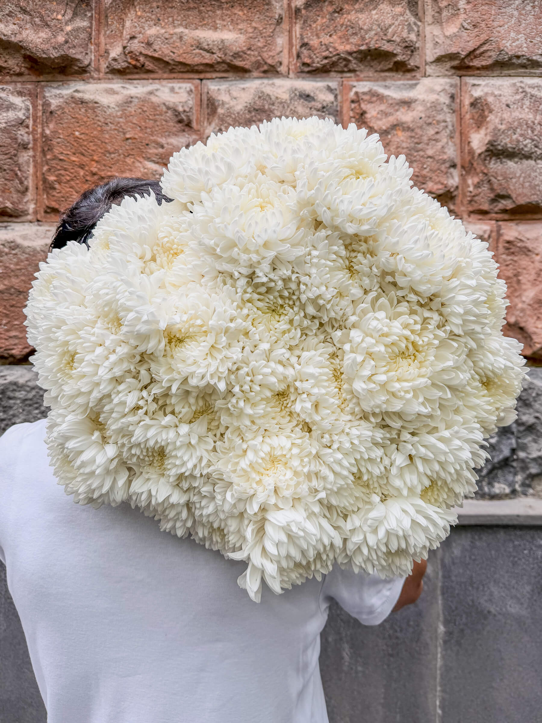 31 White Chrysanthemums - Pure and Elegant Bouquet - Thumbnail 1 of 2 | Flowers Theory