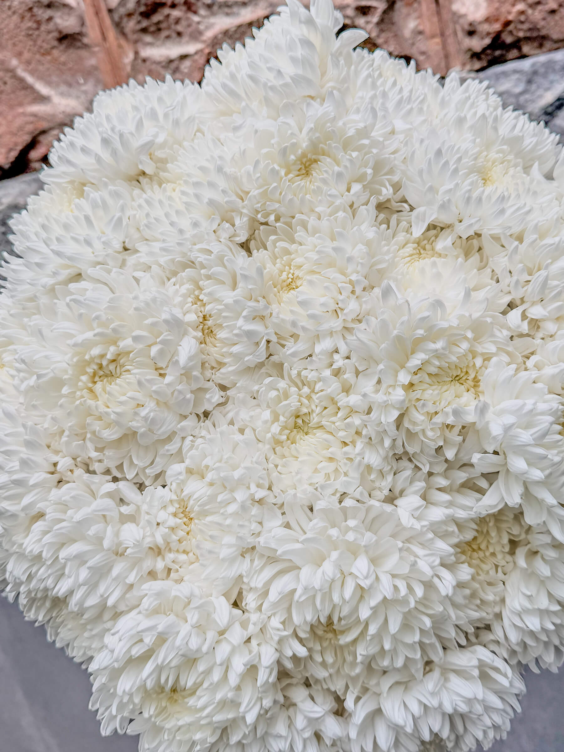 31 White Chrysanthemums - Pure and Elegant Bouquet - Thumbnail 2 of 2 | Flowers Theory