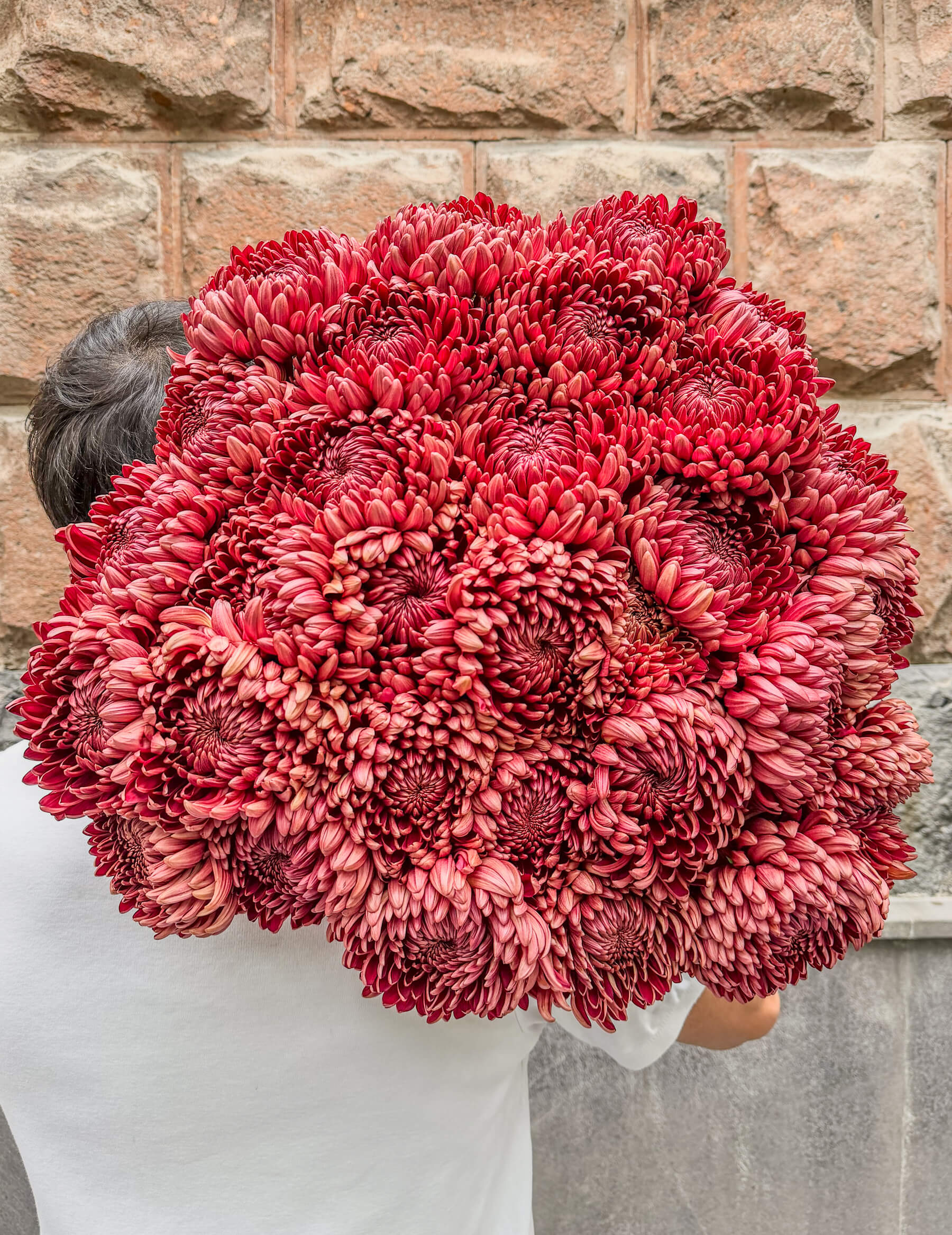 31 Burgundy Chrysanthemums - Elegant Flower Bouquet - Thumbnail 1 of 2 | Flowers Theory